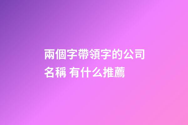 兩個字帶領字的公司名稱 有什么推薦-第1張-公司起名-玄機派